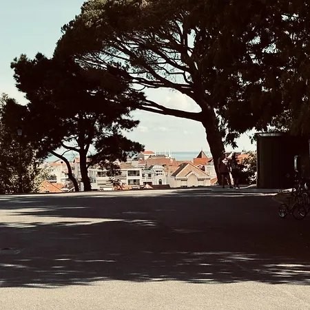 Maison Cosy, Wifi Terrasse, Proche Plage, Gare, Centre * آركاشو
